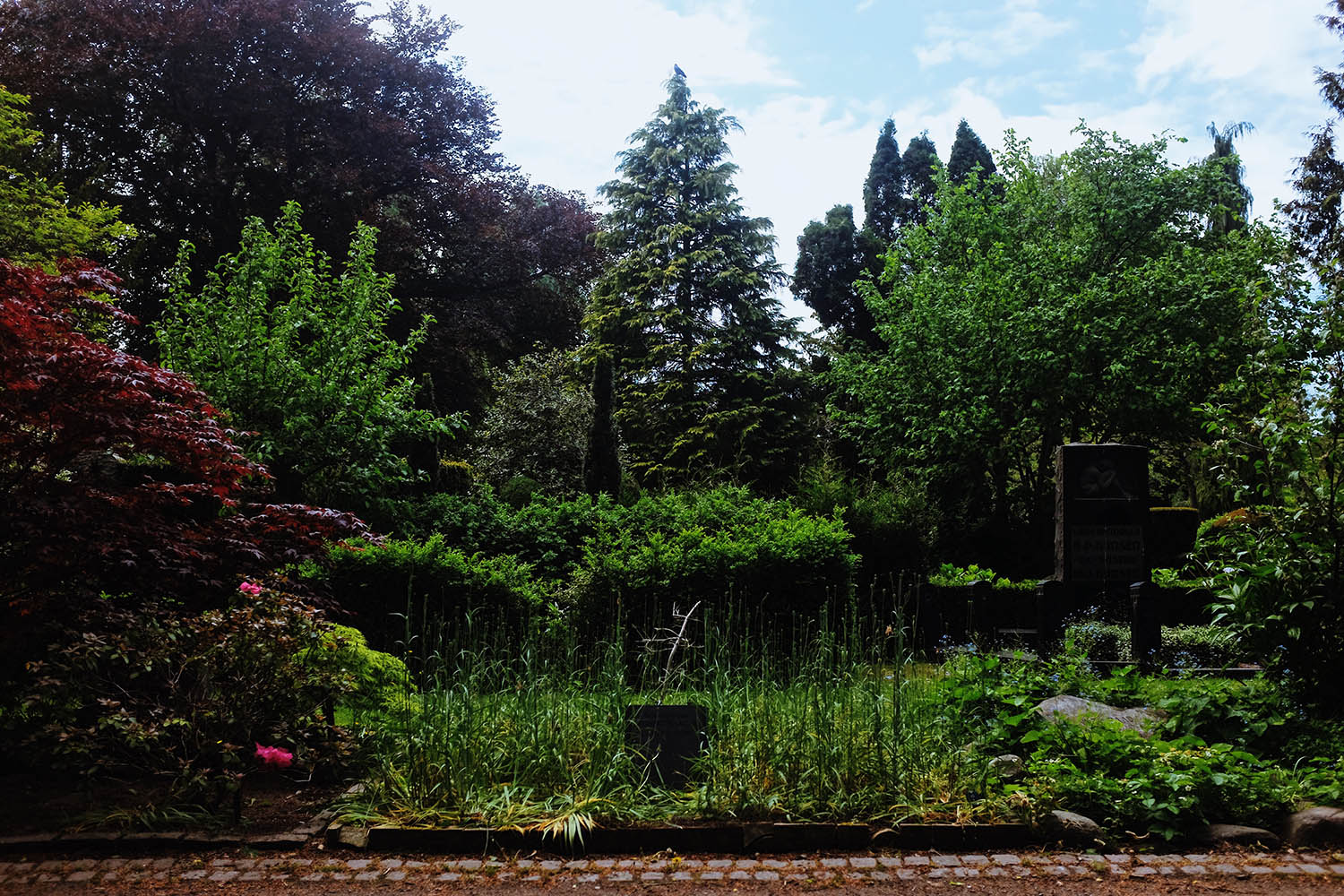 Assistens-Cemitery-4