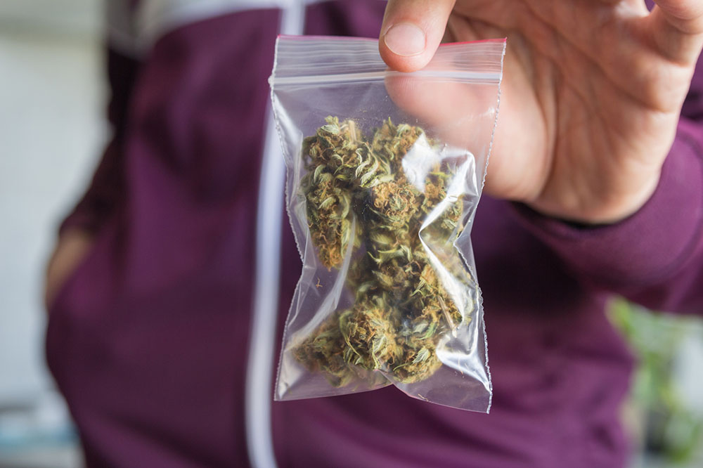 Man in purple hoodie trading marijuana showing buds in the zip package