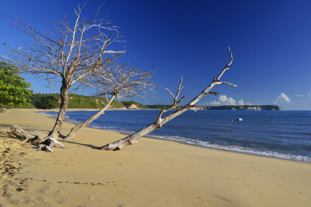 Praia do Satu, Caraíva